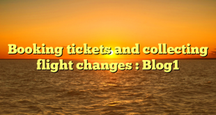 Booking tickets and collecting flight changes : Blog1