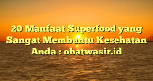 20 Manfaat Superfood yang Sangat Membantu Kesehatan Anda : obatwasir.id