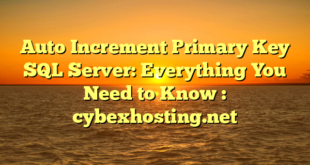 Auto Increment Primary Key SQL Server: Everything You Need to Know : cybexhosting.net