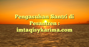 Pengasuhan Santri di Pesantren : imtaqisykarima.com