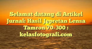 Selamat datang di Artikel Jurnal: Hasil Jepretan Lensa Tamron 70-300 : kelasfotografi.com